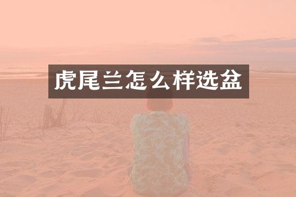 虎尾兰怎么样选盆