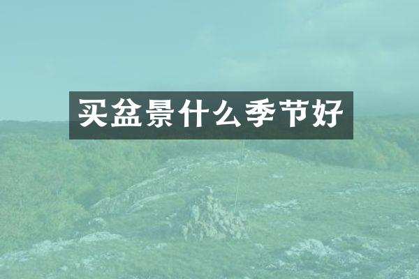 买盆景什么季节好