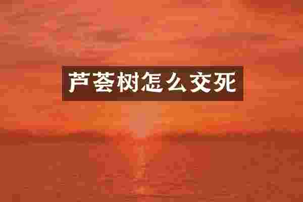 芦荟树怎么交死