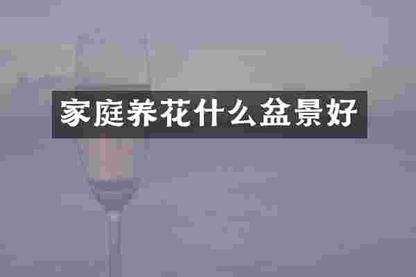 家庭养花什么盆景好