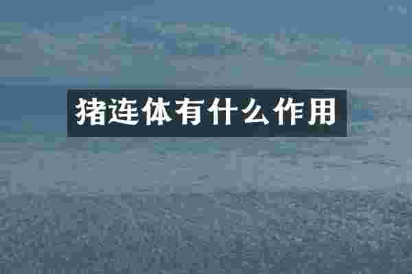 猪连体有什么作用