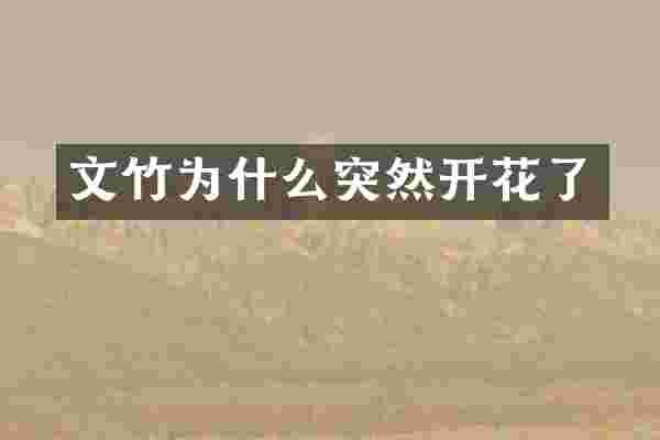 文竹为什么突然开花了