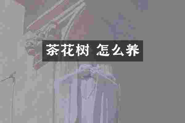 茶花树 怎么养