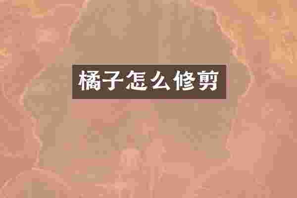橘子怎么修剪