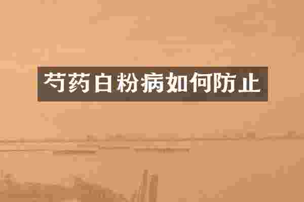 芍药白粉病如何防止