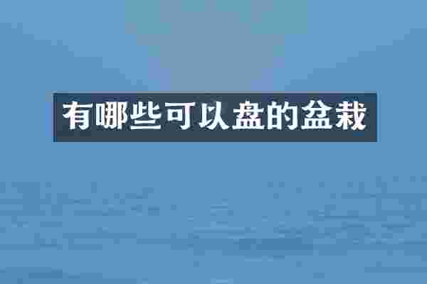有哪些可以盘的盆栽
