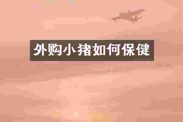 外购小猪如何保健