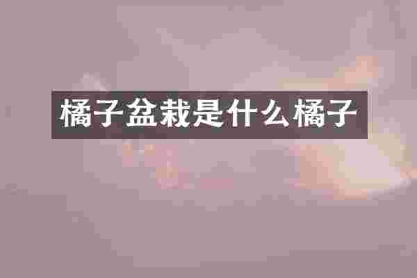 橘子盆栽是什么橘子