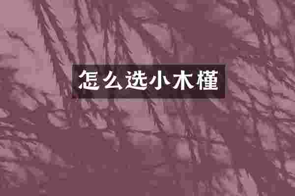 怎么选小木槿