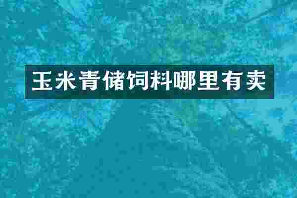 玉米青储饲料哪里有卖