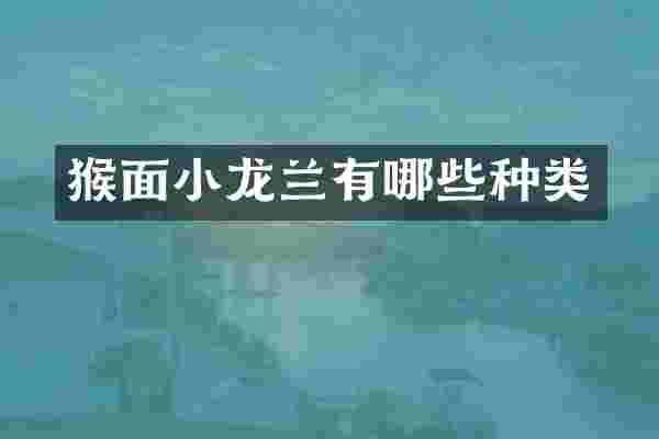 猴面小龙兰有哪些种类