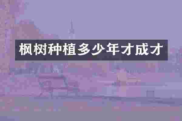 枫树种植多少年才成才