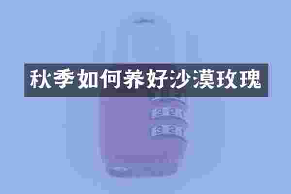 秋季如何养好沙漠玫瑰