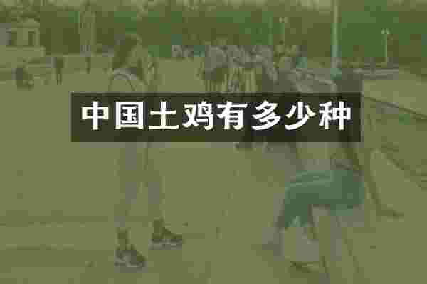 中国土鸡有多少种