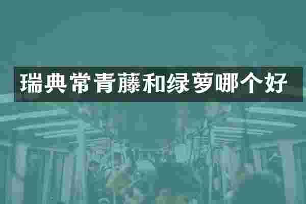 瑞典常青藤和绿萝哪个好