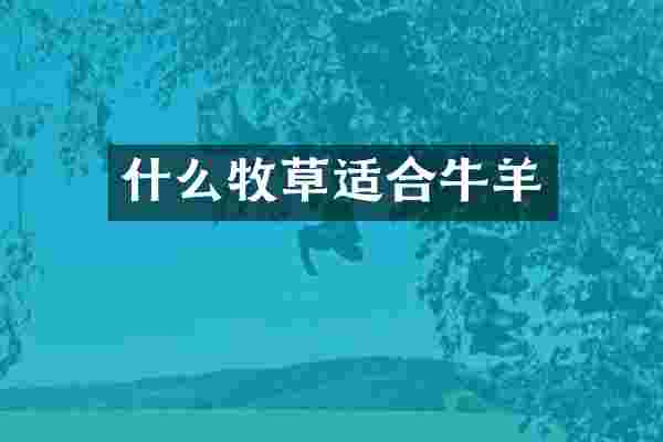 什么牧草适合牛羊