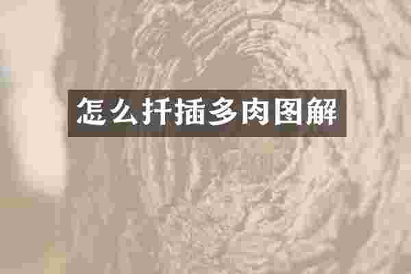 怎么扦插多肉图解