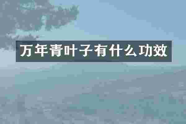 万年青叶子有什么功效