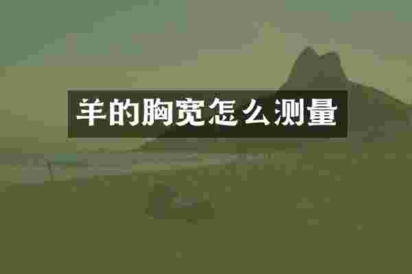 羊的胸宽怎么测量