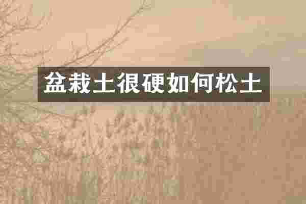 盆栽土很硬如何松土
