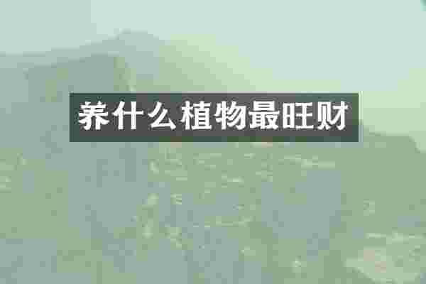 养什么植物最旺财