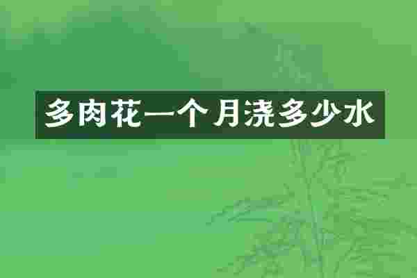 多肉花一个月浇多少水