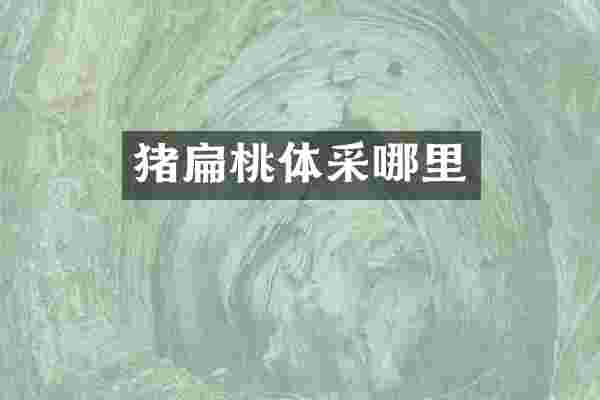 猪扁桃体采哪里