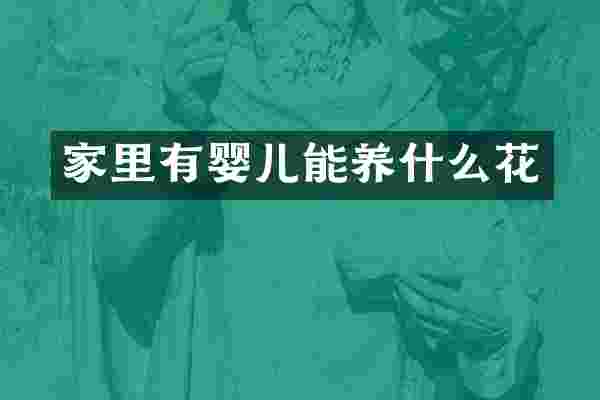 家里有婴儿能养什么花