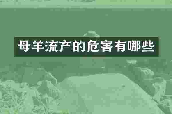 母羊流产的危害有哪些