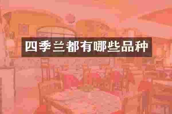 四季兰都有哪些品种