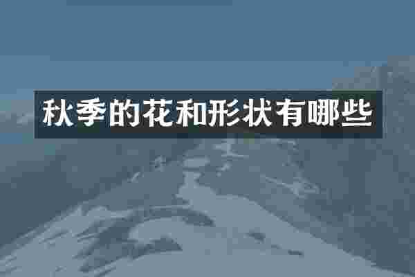 秋季的花和形状有哪些