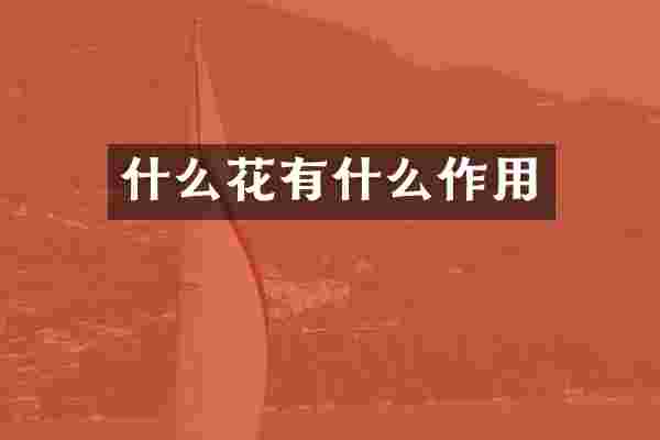 什么花有什么作用