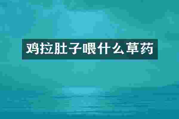 鸡拉肚子喂什么草药