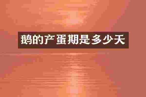 鹅的产蛋期是多少天