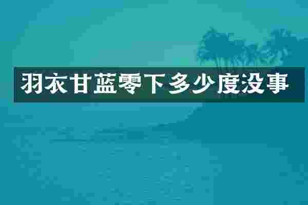 羽衣甘蓝零下多少度没事