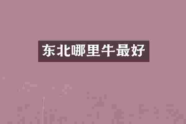 东北哪里牛最好