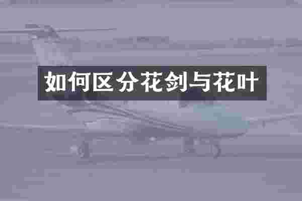 如何区分花剑与花叶