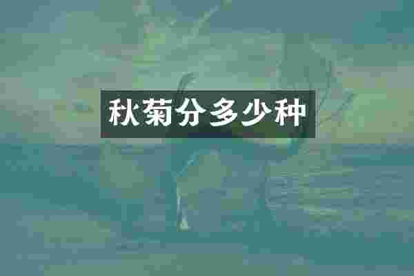 秋菊分多少种
