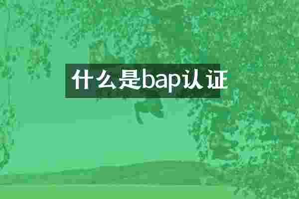 什么是bap认证