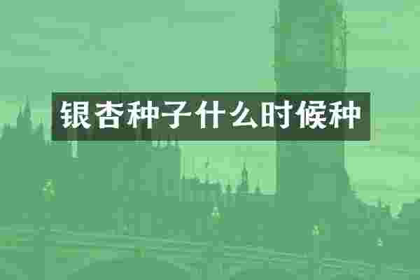 银杏种子什么时候种