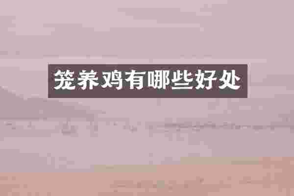笼养鸡有哪些好处