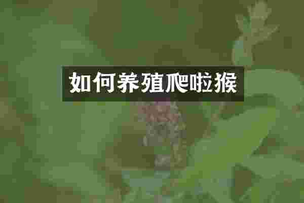 如何养殖爬啦猴