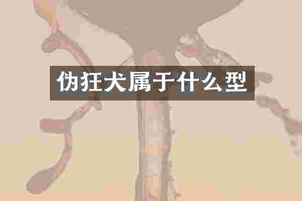 伪狂犬属于什么型