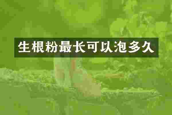 生根粉最长可以泡多久