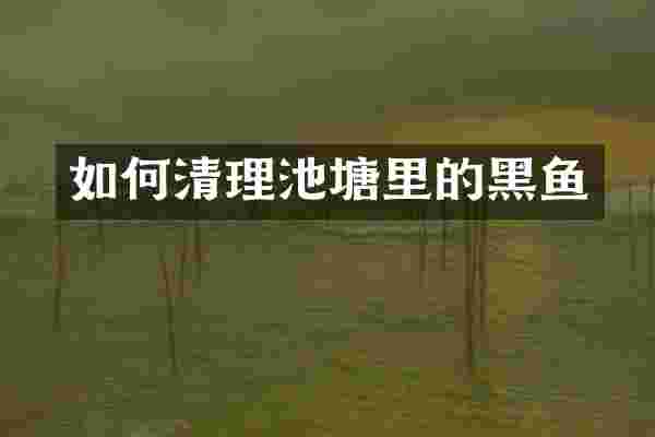 如何清理池塘里的黑鱼