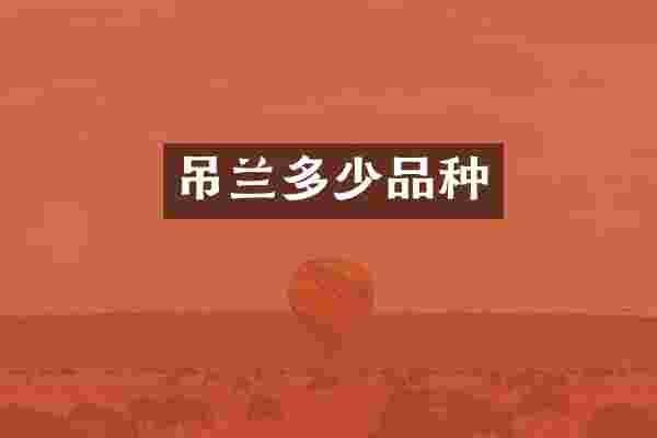 吊兰多少品种