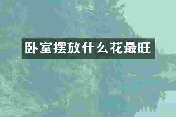 卧室摆放什么花最旺