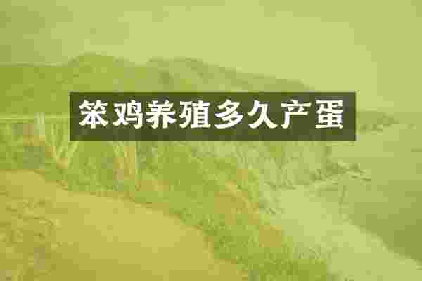 笨鸡养殖多久产蛋