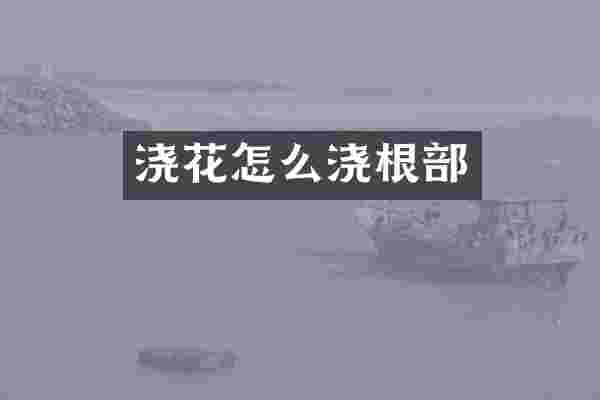浇花怎么浇根部