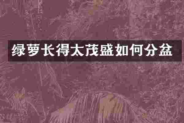 绿萝长得太茂盛如何分盆